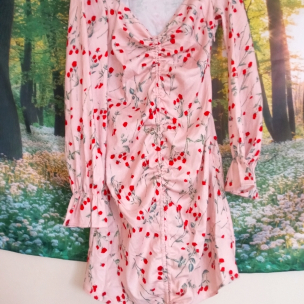 Pretty Little Things Rose dress